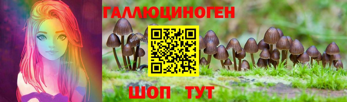 Псилоцибиновые грибы Cubensis  Псилоцибиновые грибы ЛСД  Похвистнево  Вход с VPN 